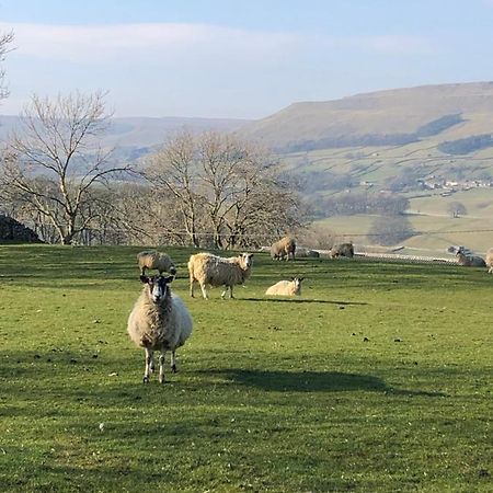 Quarry Cottage Near Hawes, Yorkshire Dales, Pet Free Buitenkant foto