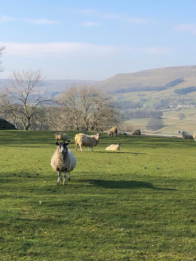 Quarry Cottage Near Hawes, Yorkshire Dales, Pet Free Buitenkant foto